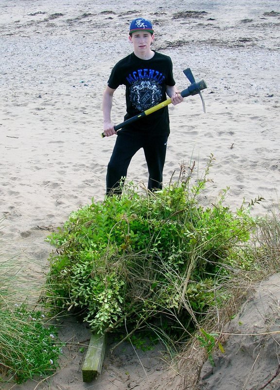 Photograph accompanying How to Find and Protect Public Hiking Trails in England - AFAR